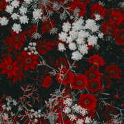 ヒメ日記 2025/05/06 19:48 投稿 みり ラブコレ