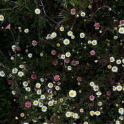 ヒメ日記 2025/05/28 20:42 投稿 みり ラブコレ