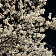 ヒメ日記 2025/05/29 19:24 投稿 みり ラブコレ