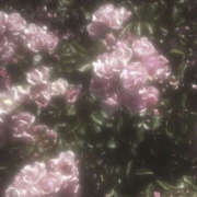 ヒメ日記 2025/06/10 20:44 投稿 みり ラブコレ