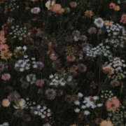 ヒメ日記 2025/06/21 20:44 投稿 みり ラブコレ