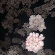 ヒメ日記 2025/06/23 19:46 投稿 みり ラブコレ