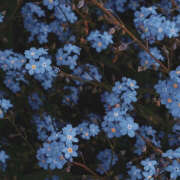 ヒメ日記 2025/06/26 19:31 投稿 みり ラブコレ