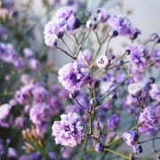 ヒメ日記 2025/06/27 21:30 投稿 みり ラブコレ