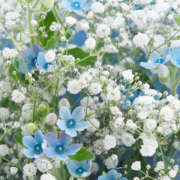 ヒメ日記 2025/06/30 19:50 投稿 みり ラブコレ