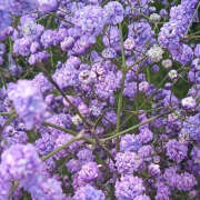 ヒメ日記 2025/07/09 20:53 投稿 みり ラブコレ