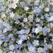 ヒメ日記 2025/07/13 21:19 投稿 みり ラブコレ