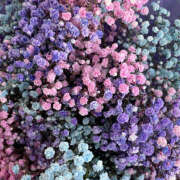 ヒメ日記 2025/07/21 21:02 投稿 みり ラブコレ