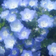 ヒメ日記 2025/08/04 19:44 投稿 みり ラブコレ