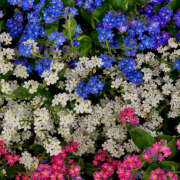 ヒメ日記 2025/08/31 21:00 投稿 みり ラブコレ