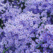 ヒメ日記 2025/09/11 19:50 投稿 みり ラブコレ