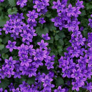 ヒメ日記 2025/09/17 19:51 投稿 みり ラブコレ