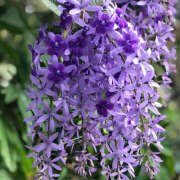 ヒメ日記 2025/09/21 21:03 投稿 みり ラブコレ