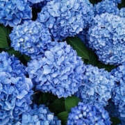 ヒメ日記 2025/09/26 21:24 投稿 みり ラブコレ