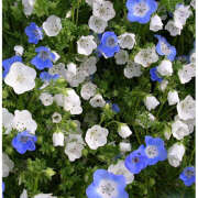 ヒメ日記 2025/10/09 19:30 投稿 みり ラブコレ