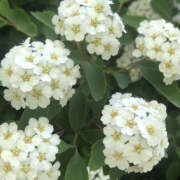 ヒメ日記 2025/10/13 19:25 投稿 みり ラブコレ