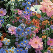 ヒメ日記 2025/10/14 20:01 投稿 みり ラブコレ