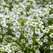 ヒメ日記 2025/10/16 20:20 投稿 みり ラブコレ