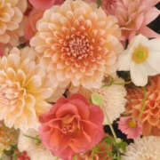 ヒメ日記 2025/10/23 19:48 投稿 みり ラブコレ