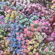 ヒメ日記 2025/10/24 20:11 投稿 みり ラブコレ