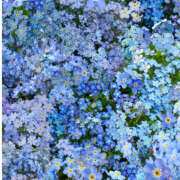 ヒメ日記 2025/10/25 22:00 投稿 みり ラブコレ