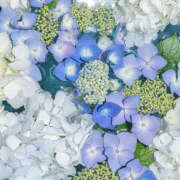 ヒメ日記 2025/10/26 21:04 投稿 みり ラブコレ