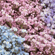 ヒメ日記 2025/10/29 19:37 投稿 みり ラブコレ