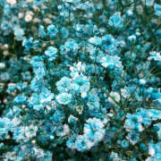 ヒメ日記 2025/10/30 19:41 投稿 みり ラブコレ