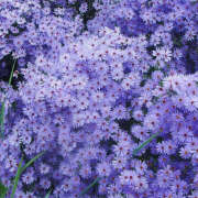 ヒメ日記 2025/11/02 19:27 投稿 みり ラブコレ