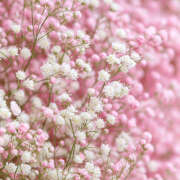 ヒメ日記 2025/11/11 19:33 投稿 みり ラブコレ