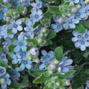 ヒメ日記 2025/11/15 20:09 投稿 みり ラブコレ