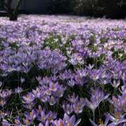 ヒメ日記 2025/11/23 19:33 投稿 みり ラブコレ