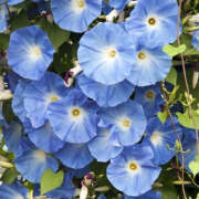 ヒメ日記 2025/11/29 19:47 投稿 みり ラブコレ