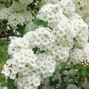 ヒメ日記 2025/12/07 19:30 投稿 みり ラブコレ