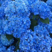 ヒメ日記 2025/12/09 20:12 投稿 みり ラブコレ