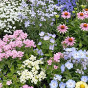 ヒメ日記 2025/12/11 19:33 投稿 みり ラブコレ