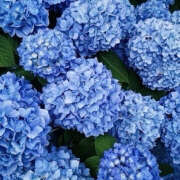 みり (*`*) ラブコレ