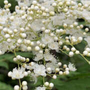 ヒメ日記 2026/01/01 21:38 投稿 みり ラブコレ