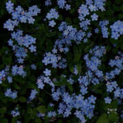 ヒメ日記 2026/01/08 19:33 投稿 みり ラブコレ