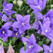 ヒメ日記 2026/01/19 20:29 投稿 みり ラブコレ