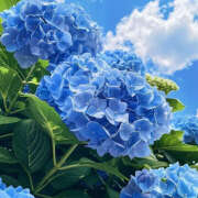 ヒメ日記 2026/01/21 19:29 投稿 みり ラブコレ