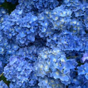 ヒメ日記 2026/01/23 20:26 投稿 みり ラブコレ