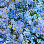 ヒメ日記 2026/01/25 19:52 投稿 みり ラブコレ