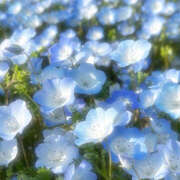 ヒメ日記 2026/01/30 20:22 投稿 みり ラブコレ