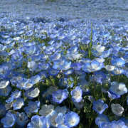 ヒメ日記 2026/02/01 19:24 投稿 みり ラブコレ