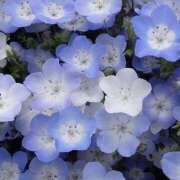 ヒメ日記 2026/02/15 19:50 投稿 みり ラブコレ