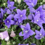 ヒメ日記 2026/02/22 19:28 投稿 みり ラブコレ