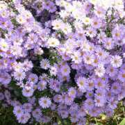 ヒメ日記 2026/02/23 19:37 投稿 みり ラブコレ