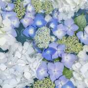 ヒメ日記 2026/02/24 20:22 投稿 みり ラブコレ