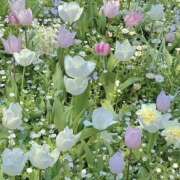 みり ..  ラブコレ